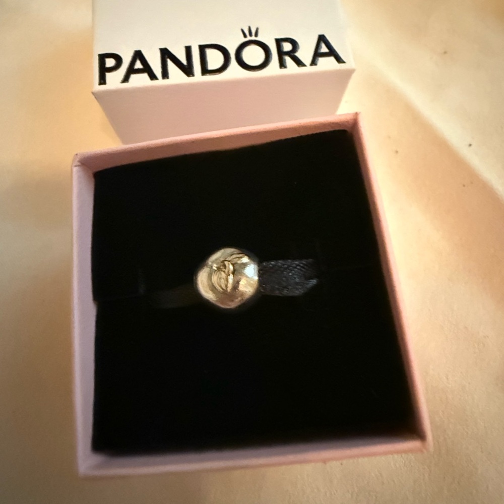 Pandora Apple of My Eye Charm - Picture 2 of 3